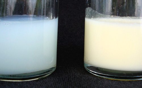 Молоко разного цвета в двух стаканах
