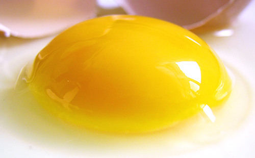Сырой яичный желток