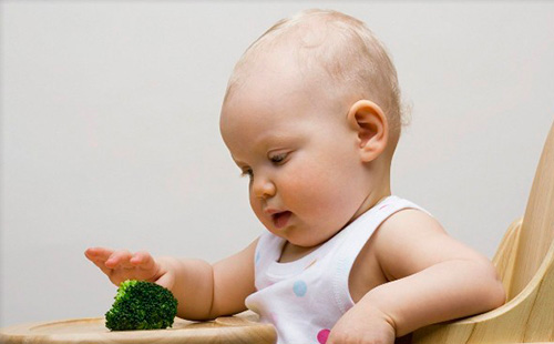 Девочка трогает капусту брокколи