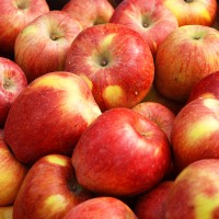 Россыпь красных яблок, несущих здоровье