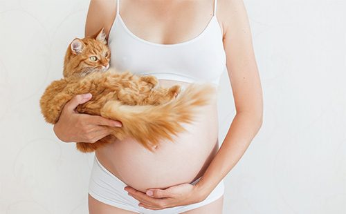 Беременная девушка с котом на руках